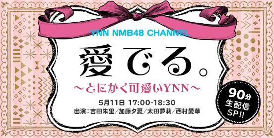 ファイル:愛でる。~とにかく可愛いYNN~.jpg