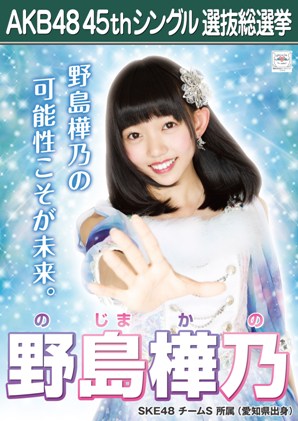 ファイル:AKB48 45thシングル 選抜総選挙ポスター 野島樺乃.jpg