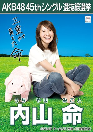 ファイル:AKB48 45thシングル 選抜総選挙ポスター 内山命.jpg