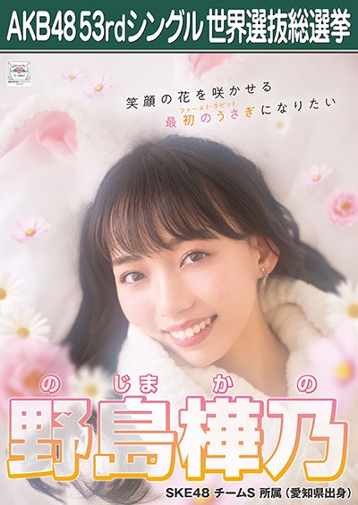 ファイル:AKB48 53rdシングル 世界選抜総選挙ポスター 野島樺乃.jpg