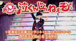 みんな、泣くんじゃねえぞ。宮澤佐江卒業コンサートin 日本ガイシホール.jpg