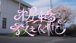 桜橋を教えてくれたMV予告バナー.jpg
