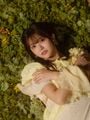 12th Single ひなた坂46 LIVE （2024年）