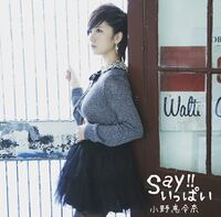 Say!!いっぱい 【初回限定盤B 裏えれ盤】.jpg