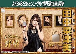 AKB48 53rdシングル 世界選抜総選挙ポスター 田中菜津美.jpg