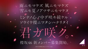 櫻坂46 新メンバーオーディション2024 バナー.jpg