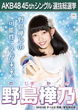 AKB48 45thシングル 選抜総選挙ポスター 野島樺乃.jpg