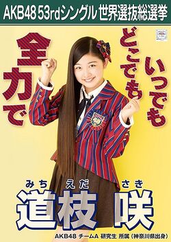 AKB48 53rdシングル 世界選抜総選挙ポスター 道枝咲.jpg
