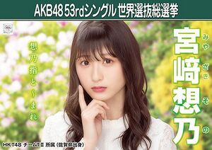 AKB48 53rdシングル 世界選抜総選挙ポスター 宮﨑想乃.jpg