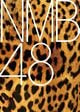 NMB48ロゴ.jpg