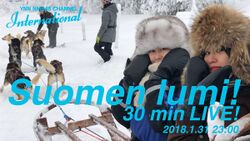 フィンランドの雪.jpg
