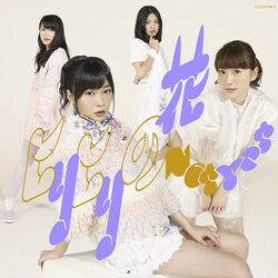 ヒリヒリの花 (通常盤Type-B)(DVD付).jpg