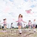 桜の木になろう (Type-B) (CD+DVD)(初回限定盤)