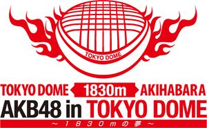 AKB48 in TOKYO DOME ～1830mの夢～.jpg