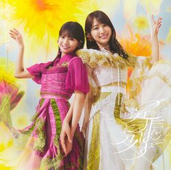 是非に及ばず 初回仕様限定盤B.jpg