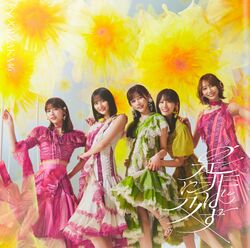 是非に及ばず 初回仕様限定盤D.jpg