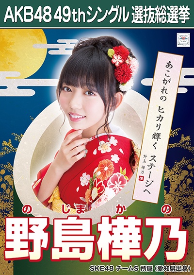 ファイル:AKB48 49thシングル 選抜総選挙ポスター 野島樺乃.jpg