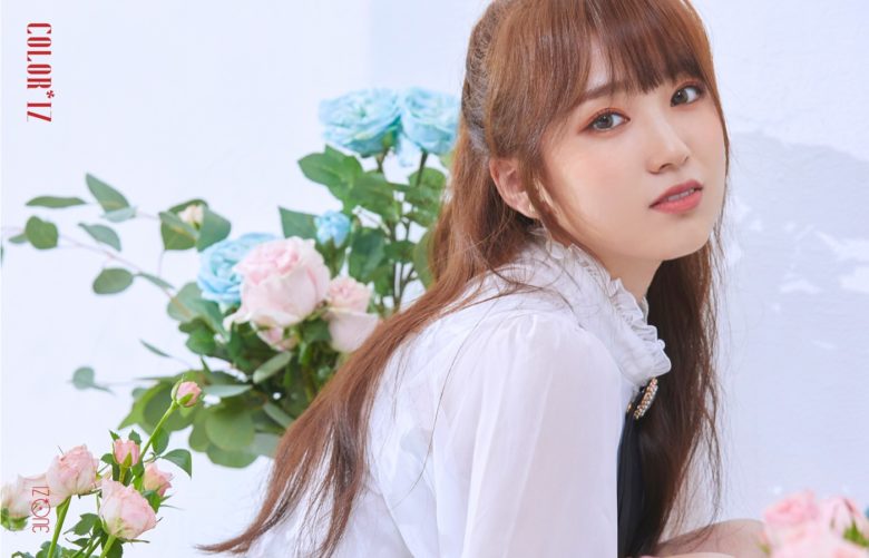 ファイル:2018年IZ*ONEプロフィール 矢吹奈子 2.jpg