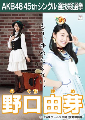 ファイル:AKB48 45thシングル 選抜総選挙ポスター 野口由芽.jpg