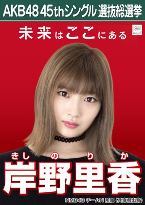 ファイル:AKB48 45thシングル 選抜総選挙ポスター 岸野里香.jpg