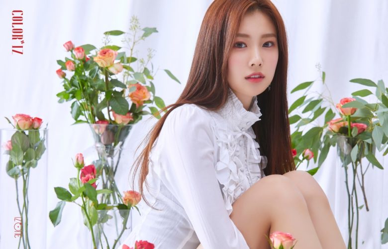 ファイル:2018年IZ*ONEプロフィール Kang Hye Won 2.jpg