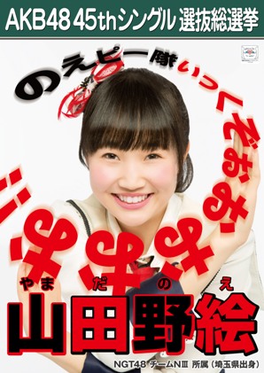 ファイル:AKB48 45thシングル 選抜総選挙ポスター 山田野絵.jpg