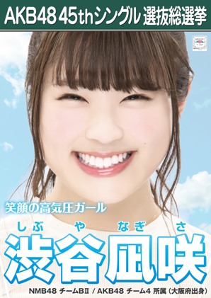 ファイル:AKB48 45thシングル 選抜総選挙ポスター 渋谷凪咲.jpg