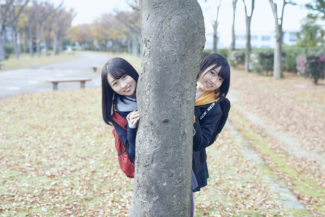 ファイル:ひまわりのない世界 アーティスト画像.jpg