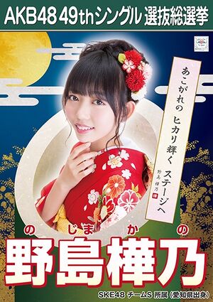 AKB48 49thシングル 選抜総選挙ポスター 野島樺乃.jpg