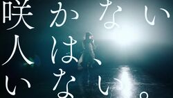 櫻坂46 新メンバーオーディション.jpg