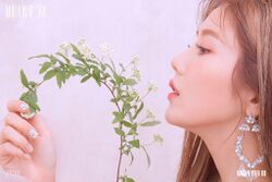 2019年IZ*ONEプロフィール Kwon Eun Bi 2.jpg