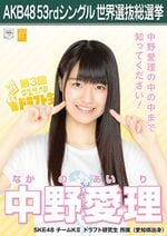 AKB48 53rdシングル 世界選抜総選挙ポスター 中野愛理.jpg