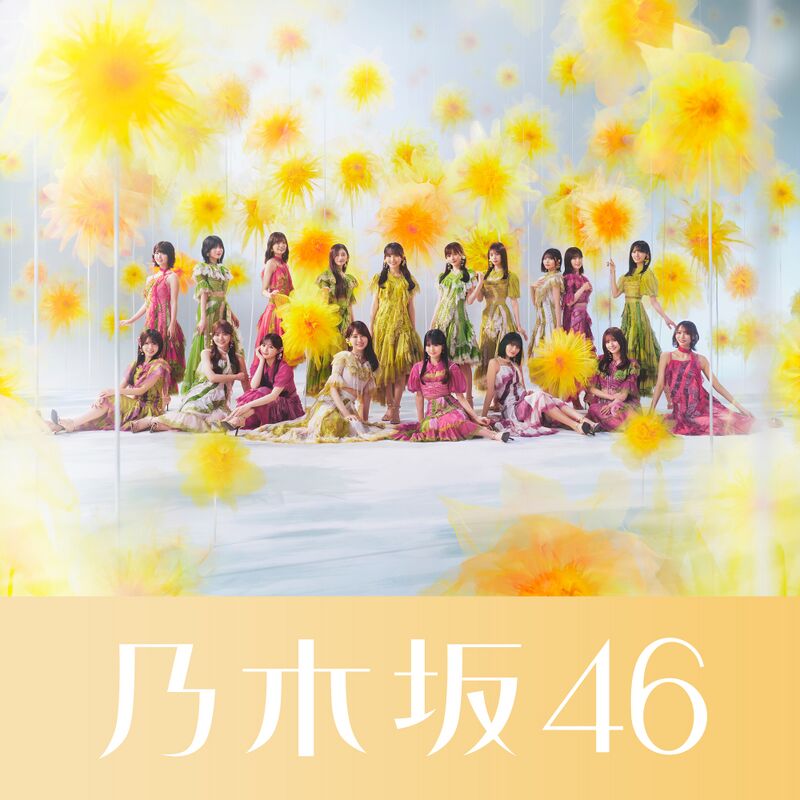 是非に及ばず - エケペディア