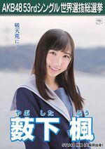 薮下楓 - エケペディア