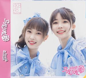 马尾与发圈 珍藏版.jpg