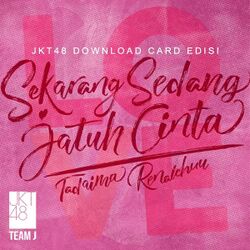Sekarang Sedang Jatuh Cinta.jpg
