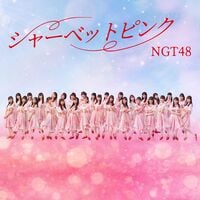 NGT48 シャーベットピンク - メルカリ