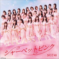 シャーベットピンク Type-B.jpg
