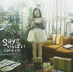 Say!!いっぱい 【初回限定盤C 友達になりたい盤】.jpg