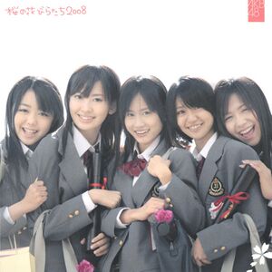 桜の花びらたち2008 初回生産限定盤 TypeB.jpg