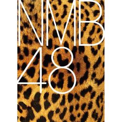 NMBロゴ.jpg