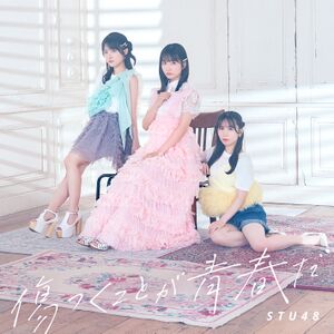 傷つくことが青春だ 初回限定盤 Type A.jpg