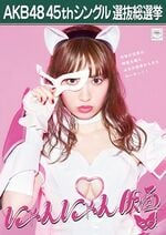 AKB48 45thシングル 選抜総選挙ポスター にゃんにゃん仮面.jpg