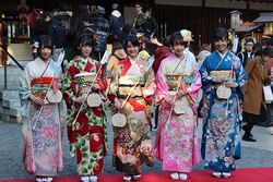 2017年成人式(乃木坂46) 集合写真.jpg