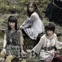 AKB 風は吹いている 通常 生写真 Amazon.co.jp: AKB48公式生写真風は吹いている通常盤【高橋