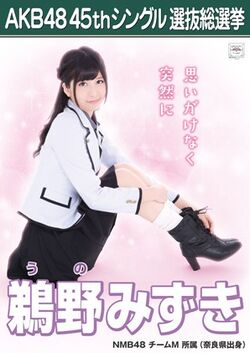 AKB48 45thシングル 選抜総選挙ポスター 鵜野みずき.jpg