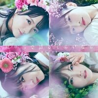STU48 岡田奈々 6thシングル限定CD メンバー個別パネル付セット