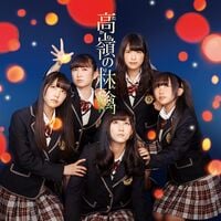 NMB48 大量 CD119枚まとめ売りセット+高嶺の林檎ショウバッグ 3/26(日)『日本のロック廃盤セール』開催！ : diskunion ROCK in
