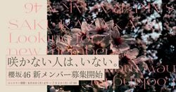 櫻坂46 新メンバーオーディション バナー.jpg