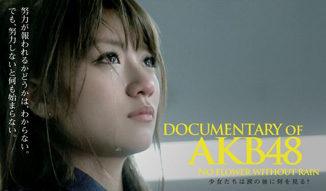 Amazon.co.jp: DVD Documentary of AKB48 少女たちは涙の後に何